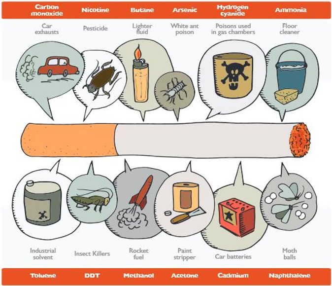 What's in a Cigarette?